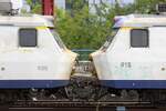 Anhand der SNCB AM75 838 und 815 wir der Spitzname  Schweinenase  (niederl�ndisch Varkensneus) verst�ndlich. - Bild vom 23.Juli 2026 in Bruxelles-Midi.