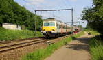 Ein Belgischer Triebzug 345 von der SNCB und fährt durch Testelt(B) in Richtung Aarschot(B).
Aufgenommen von der Wijngaardstraat in Testelt(B).
Bei Sommerwetter am 1.6.2019. 