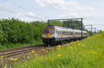 Eingebettet in grün-gelber Kulisse strebt Triebzug 379 der Baureihe AM 80 Break Hasselt entgegen. Die Aufnahme entstand am 21/5/2016 in Hoeselt.