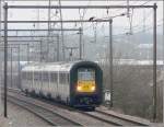 Die Krhe scheint schon lngere Zeit an der Bahnstrecke zu  wohnen , sie lsst sich von der Durchfahrt der Doppeleinheit AM96 jedenfalls nicht stren. Das Foto wurde am 01.03.09 in Luxemburg-Hollerich aufgenommen. (Jeanny)