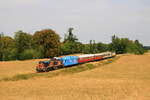 Belgi�n  PFT Festival 2026  Sonderzug Ciney - Spontin - Bauche gezogen durch die HSL 4185 202  16/8/2026