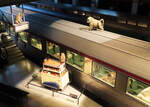 Museum Train World Brüssel: Originelle Darstellung bezüglich der Ausstellung 'Animalia'. Brüssel, 8.3.2023