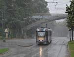 Brüssel (Bruxelles), Avenue de Tervueren. BN PCC 7700 #7803 bei starkem Regen erreicht die Haltestelle Musée du tram. Die Aufnahme stammt vom 12.07.2017.