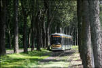 . Viel Holz -

Eine Flixity Outlook Tram auf Linie 19 zwischen den Bäumen des Elisabethpark in Koekelberg (Brüssel).

23.06.2016 (M)
