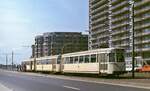 An einer Haltestelle am Stadtrand von Oostende legt ein Dreiwagenzug der  kusttram  im April 1979 auf dem Weg nach De Panne einen Zwischenhalt ein.