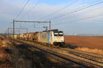 Belgiën
Lineas Lok 186254 zieht einem BASF Zug Antwerpen - Ludwigshafen, in Warsage
23/1/2026
