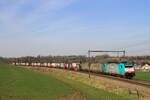 Belgiën
Lok 2841 von B-Cargo zieht einem Containerzug, in Wonck.
27/2/2016