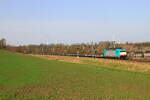 Belgiën 
Lok 186 207 vom DBC zieht einem leerem Autozug in Wonck
26/2/2026