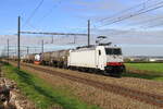 Belgi�n
Lok 186 149 von Lineas zieht einem BASFzug Antwerpen - Ludwigshafen, in Warsage
15/10/2026