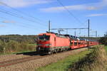 Belgi�n
Lok 193 327 von DBC zieht einem Autotransport Zug in Warsage
27/10/2026