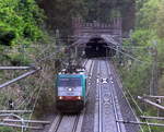 Die Cobra 2839  kommt als Lokzug aus Belgien nach Aachen-West und kam aus dem Gemmenicher-Tunnel und fährt die Gemmenicher-Rampe herunter nach Aachen-West.