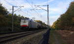 186 448-7  von Lineas/Railpool kommt mit einem Kesselzug aus Ludwigshafen-BASF(D) nach Antwerpen-BSAF(B) und kommt aus Richtung Aachen-West(D) und fährt durch den Gemmenicher-Wald(B) in Richtung