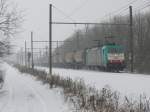 Winterimpressionen aus Ostbelgien. Cobra-Lok 2822 mit einem Getreidezug im Schneetreiben unterwegs nach Aachen-West. Hier aufgenommen an der Blockstelle bei Remersdael am 09/01/2010.