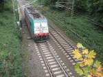 Die Cobra 2813 fhrt als Lokzug Richtung Montzen kurz vor dem Gemmenicher Tunnel. 13.10.2010.