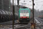 Die Cobra 2829 fhrt mit einem gemischten Containerzug von Aachen-West nach Montzen/Belgien bei Regen.