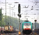 Die Cobra 2819 steht in Aachen-West und wartet auf die Abfahrt nach Belgien mit einem langen gemischten Gterzug aus Osnabrck nach Kortenberg-Goederen(B) bei Regenwetter am Abend vom 24.6.2013.