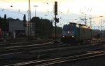 Ein Nachschuss von der Cobra 2843 rangiert in Aachen-West in der Abendsonne am Abend vom 3.7.2013.