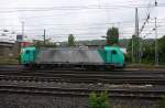 Die Cobra 2808 rangiert in Aachen-West. 
Aufgenommen vom Bahnsteig in Aachen-West bei Regenwetter am Nachmittag vom 28.6.2014. 