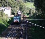 Die Cobra 2818 kommt die Gemmenicher-Rampe hochgefahren aus Aachen-West mit einem langen Containerzug aus Gallarate(I) nach Antwerpen-Oorderen(B)  und fährt gleich in den Gemmenicher-Tunnel hinein und fährt in Richtung Montzen/Vise(B). Aufgenommen in Reinartzkehl an der Montzenroute bei schönem Herbstwetter am 4.10.2014.