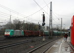 Die Cobra 2814  kommt aus Richtung Montzen/Belgien mit einem langen gemischten Güterzug aus Antwerpen-Noord(B) nach Köln-Gremberg und fährt in Aachen-West ein.