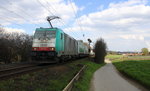 Die Cobra 2830  kommt die Gemmenicher-Rampe auf dem falschen Gleis hochgefahren aus Richtung Aachen-West mit einem LKW-Zug aus Italien nach Belgien und fährt in Richtung Montzen/Belgien.