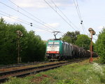 Die Cobra 2830 kommt aus Richtung Aachen-West und fährt die Gemmenicher-Rampe hoch mit einem langen gemischten Güterzug aus Köln-Gremberg(D) nach Antwerpen-Noord(B) und fährt in