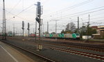 Drei Cobra 2818,2836,2808  und fahren als Lokzug von Aachen-West nach Belgien bei der Ausfahrt in Aachen-West und fahren in Richtung Montzen/Belgien.
Aufgenommen vom Bahnsteig in Aachen-West. 
Sonne und Wolken am Nachmittag vom 26.10.2016