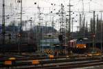 Zwei Class 66 DE6309 von DLC Railways und DE6310  Griet  von Crossrail stehen mit Motor und Licht an in Aachen-West bei Wolken am 28.12.2013.