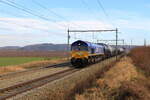 Belgiën
Railtraxx Lok 266016 zieht einem Kesselzug, in Warsage
23/1/2026