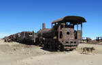 Den Hund interessieren die alten Dampfloks im Eisenbahnfriedhof s�dwestlich von Uyuni nicht.