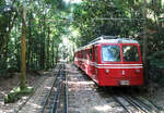 Kreuzung mit dem Gegenzug bei der Fahrt in Rio de Janeiro auf den Corcovado im Gr�nen.
