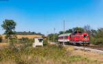 55 143 mit dem R 24225 (Levski - Trojan) bei Doyrentsi 28.8.23