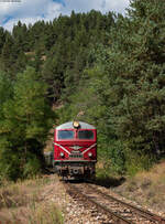 75 009 mit dem R 1662 (Dobrinishte - Septemvri) bei der Festung Brest 3.9.23