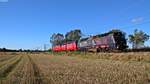 Ebenfalls am 8.10.17 wurden Zwei frisch Lackierte DSB Loks von Alborg nach Fredericia überführt.