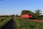 EG 3108 (103 108) und EG 3102 (103 102) als T 44729 (Flensburg Friedensweg-Maschen Rbf) bei Borstel 30.5.21