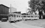 København / Kopenhagen Københavns Sporveje SL 6 (Tw 568 + Bw 1574) Østerbro, Ryparken im Juli 1967.