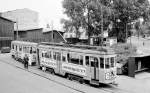 København / Kopenhagen Københavns Sporveje SL 6 (Tw 551 + Bw 1568) Ryparken im Juli 1967.