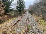 Aufnahme von der stillgelegten »Diagonalbahn« südlich von Grindsted (Dänemark). Die Strecke wurde 2012 stillgelegt. Aufnahme: 3. Februar 2022.
