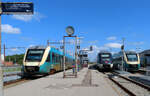Vier Züge gleichzeitig in Struer, davon hatten drei auf diesem Foto Platz: Arriva- und DSB-Züge warten in der Nachmittagssonne auf die Abfahrt.