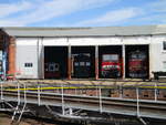 Dieselloks und die 243 002 im Lokschuppen im Eisenbahnmuseum Arnstadt am 30.Mai 2020.