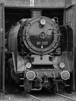 Die Dampflokomotive 01 137 Anfang April 2017 in Dresden-Altstadt.