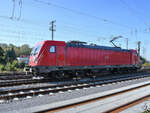 Anfang August 2021 war die Elektrolokomotive 187 186 in Koblenz-Lützel zu sehen.