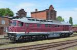 Sommerfest im Traditionsbahnbetriebswerk Staßfurt: 130 101-9 des DB Museum Halle (Saale) 06.06.2015