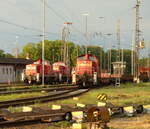 DB Cargo 294 890-9 am 14.08.2020 beim pausieren in Oberhausen Osterfeld Rbf.