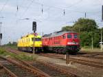 TVT 711 207 und BR 241 449-8 in Wiederitzsch am 23.08.2011. Die Diesellok hat gewonnen, sie durfte zuerst fahren.