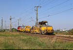 203 226-6 (204 271-1 | 202 271-3 | 112 271-2 | 110 271-4 | DR V 100.1) schleppt eine Stopfmaschine Plasser & Theurer 09-3X 'Stopfexpress' und eine Universalschotterplaniermaschine Plasser & Theurer USP 2000 SWS Richtung Zugbildungsanlage (ZBA) Halle  ...