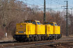 Doppelgelb am 23. Februar 2019 in Magdeburg-Sudenburg. Hier 203 305-8 und 306-6.