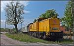 203 301-7 an einem  Blümchentod  im Hbf Stralsund.   am 12.05.13 