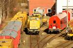 Blick in die Abstellung der Bahn Gleisbau Gruppe in Duisburg Entenfang offenbart die 203 305-8 und vieles mehr. Die Fußgängerbrücke ist ein wunderbarer Fotostandort. 28.1.2017