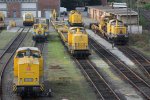 Kleines V100er Treffen am 16.9.11 bei der DBG in Duisburg-Entenfang.Von links nach rechts:DB Netz 203 309,dahinter eine der beiden DBG K�f,DGT/Bahnbaugruppe Lok 710 966,DBG/Bahnbaugruppe Lok 203 304